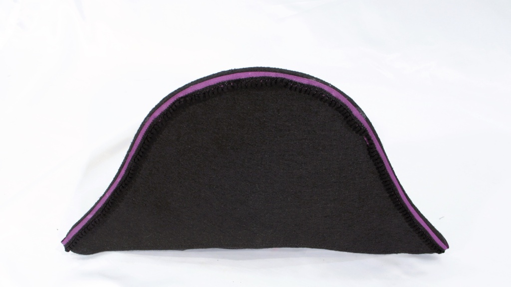 Bicornio negro con vivo morado (copia)