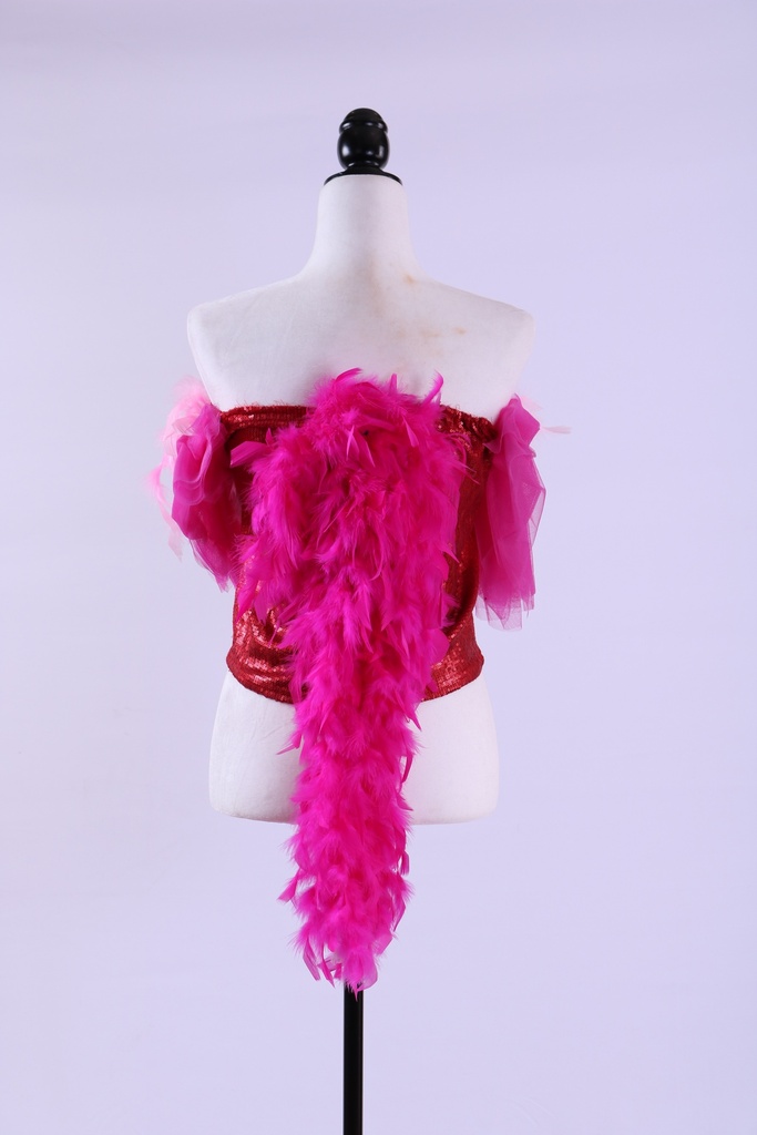 Cuerpo lentejuela con plumas