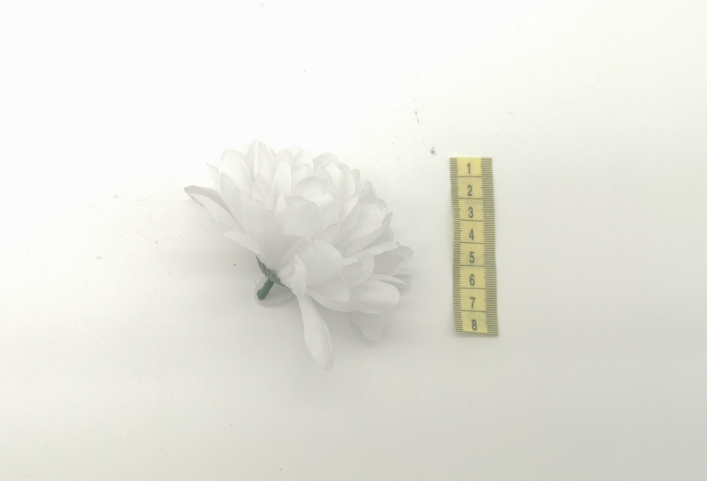 Flor, Clavel blanco (sin tallo)