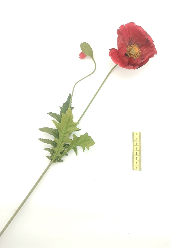 Flor, amapola
