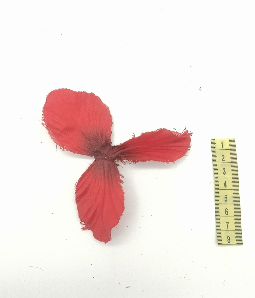Flor, pétalo rojo