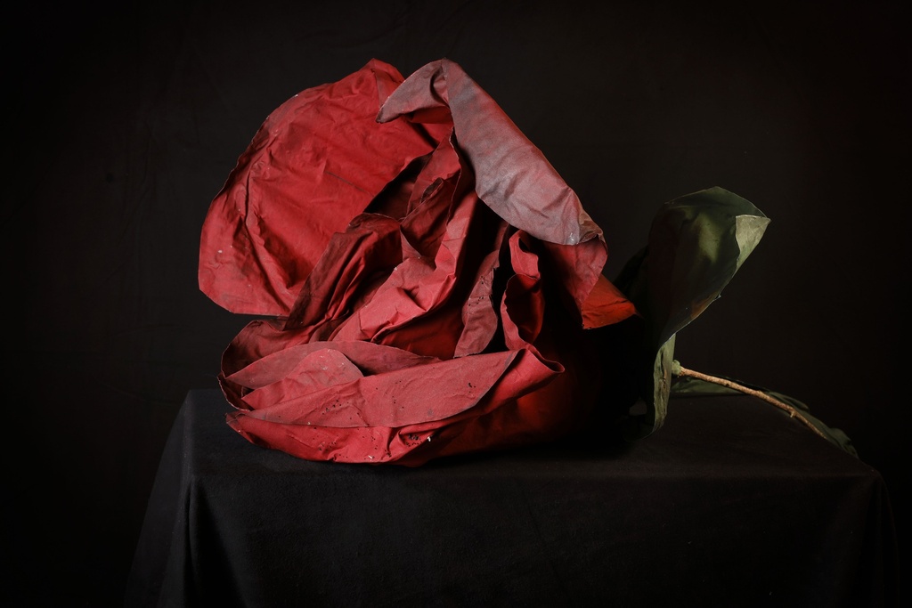 Rosa y capullo escenografia