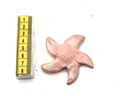 Broche estrella rosa