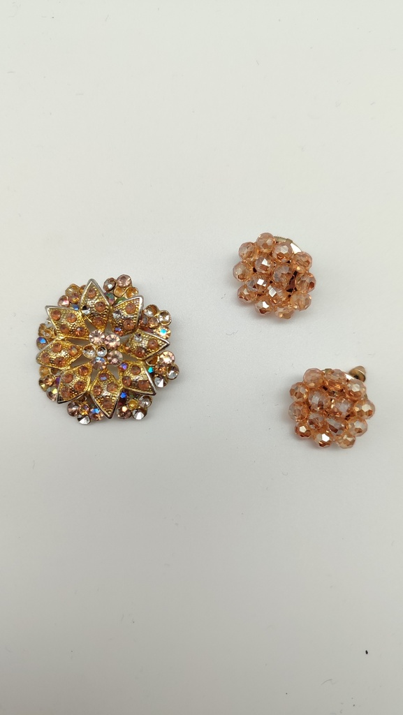 Pendientes y broche dorados(Alba)