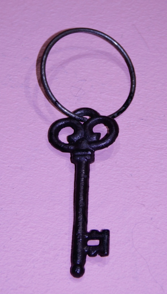 Manojo de llaves (copia)