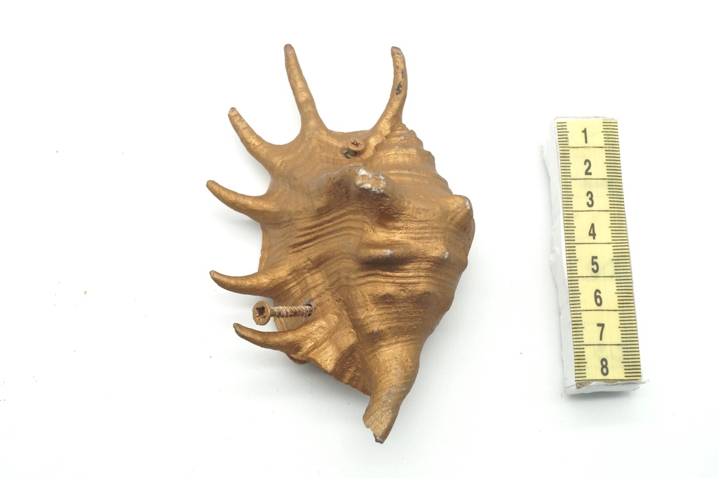 Caracola