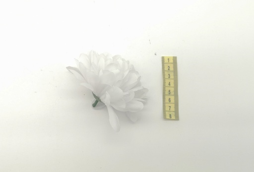[OP00477] Flor, Clavel blanco (sin tallo)