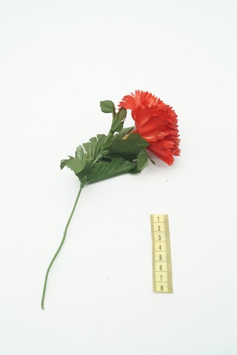 [OP00523] Flor, clavel rojo