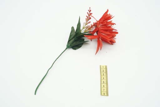 [OP00521] Flor, gerbera