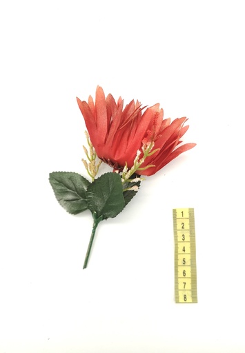 [OP00509] Flor, gerbera