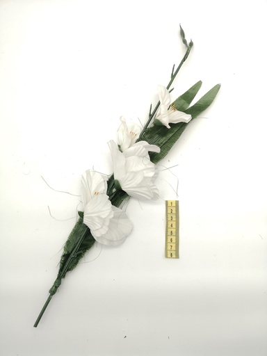 [OP00517] Flor, gladiolo blanco