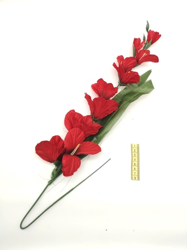 [OP00515] Flor, gladiolo rojo