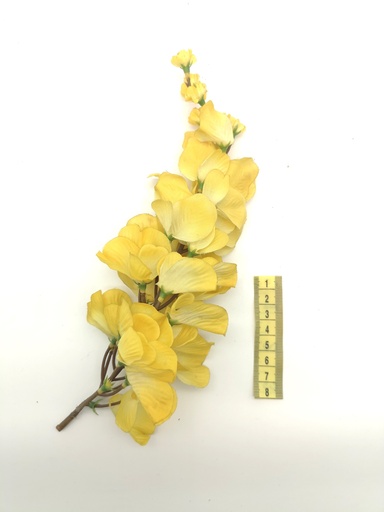 [OP00519] Flor, laburnum (inflorescencia)