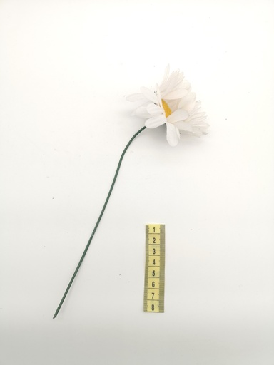 [OP00497] Flor, margarita blanca