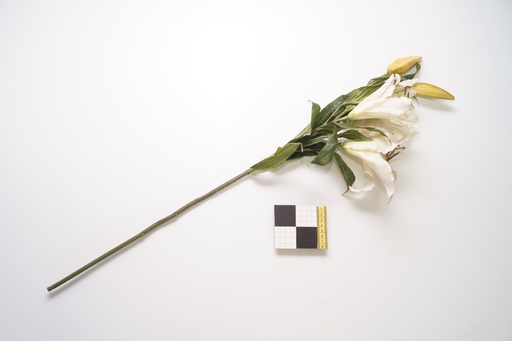 [OP00525] Flor, racimo de lirio blanco