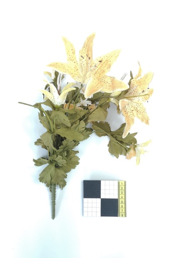 [OP00511] Flor, racimo de lirio moteado