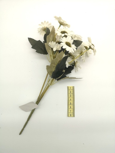 [OP00495] Flor, racimo de margarita
