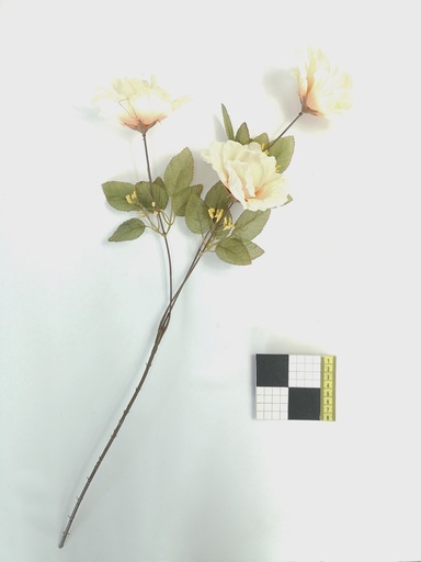 [OP00514] Flor, racimo de rosa blanca