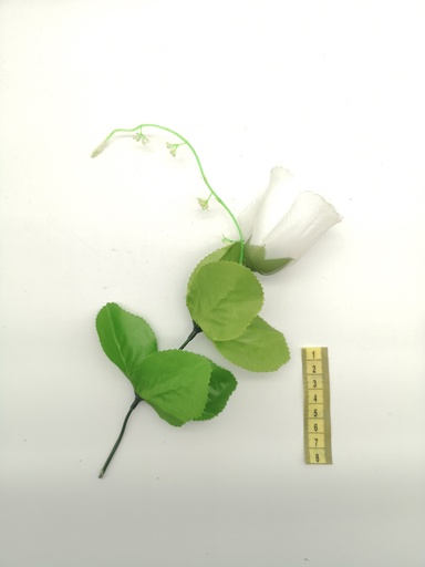 [OP00503] Flor, rosa blanca