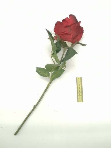 [OP00485] Flor, rosa roja