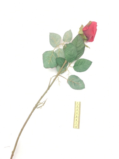[OP00491] Flor, rosa roja