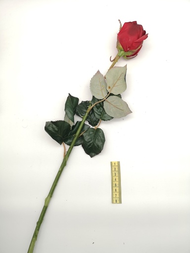 [OP00508] Flor, rosa roja (larga)