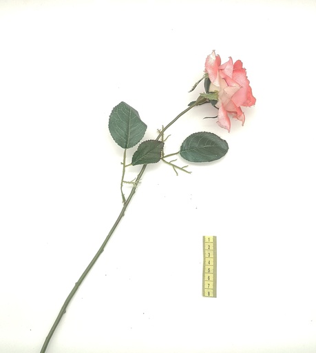 [OP00487] Flor, rosa rosa