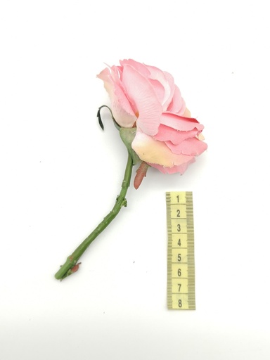 [OP00498] Flor, rosa rosa