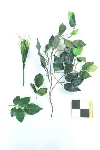 [OP00468] Planta, Hojarasca variada suelta (verde, hoja, rama)