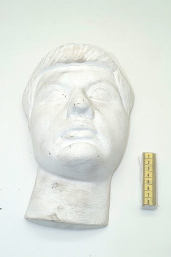 [OP00676] Modelo de cabeza en escayola