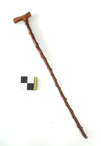 [OP00737] Bastón