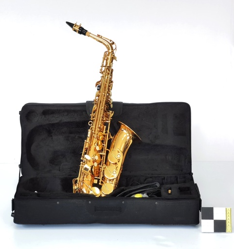 [OP03821] Saxofón