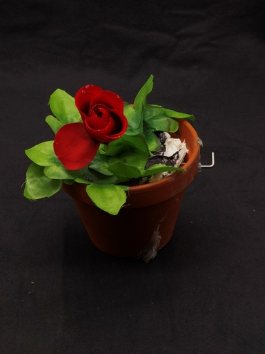 [OP04008] Maceta pequeña con planta