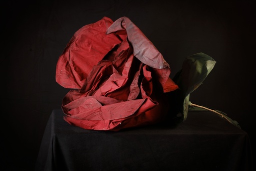 [OP04224] Rosa y capullo escenografia