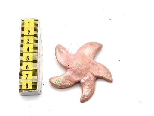 [OP02159] Broche estrella rosa