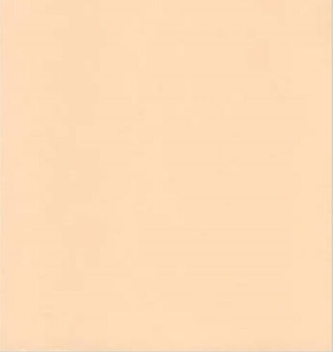 [OP05275] Pintura plástica mate salmón (Montó)