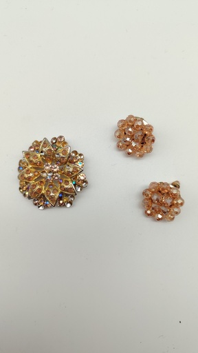 [OP05807] Pendientes y broche dorados(Alba)