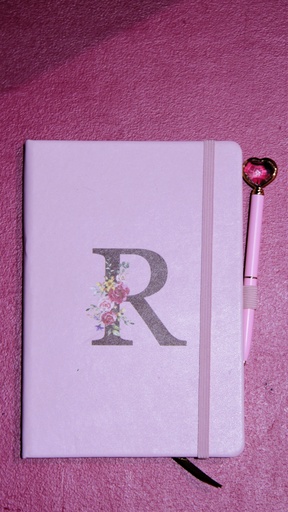 [OP06206] Abanico rosa (copia)