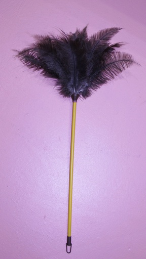 [OP06209] Escoba fibra natural (copia)
