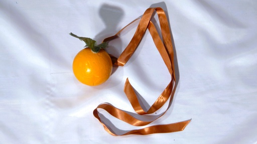 [OP06264] Naranja para el pelo