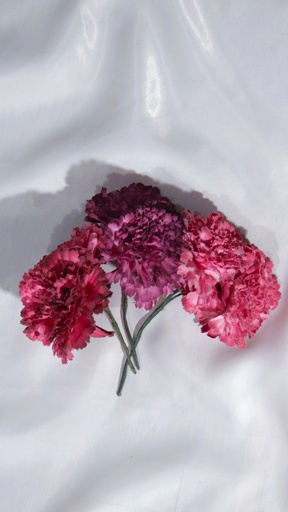 [OP06265] Pendientes fucsia flamenco (copia)